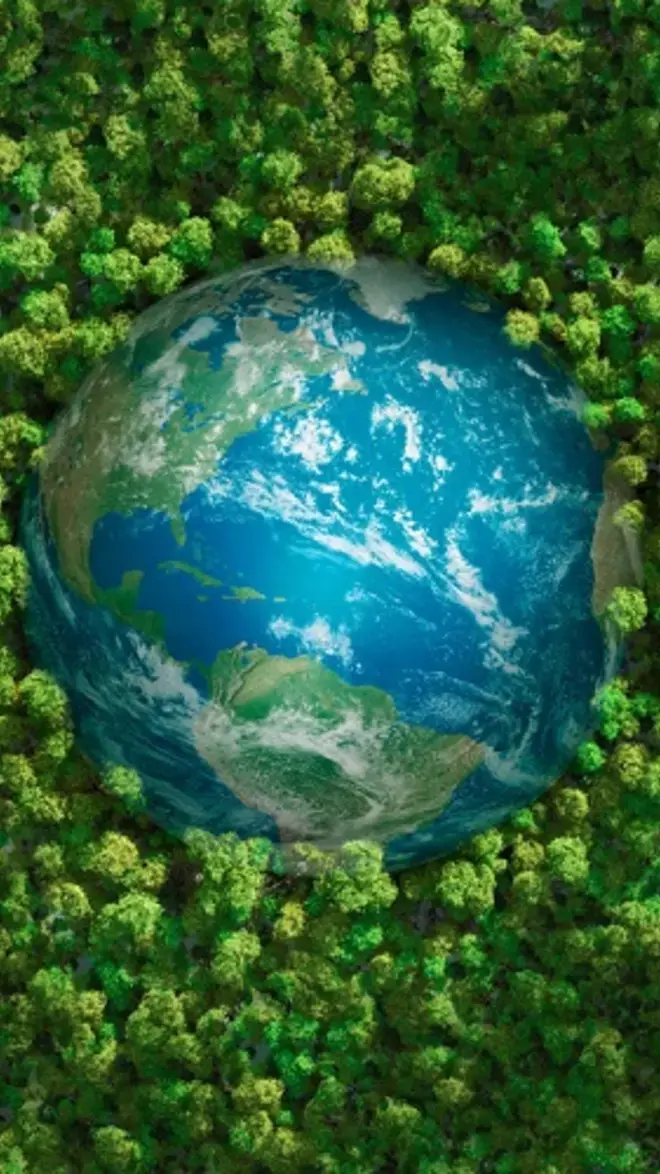 Groen wereldbol 500x500.jpg