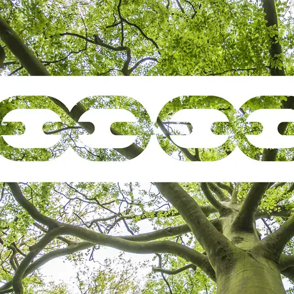 Afbeelding-CEL_1200x628.jpg