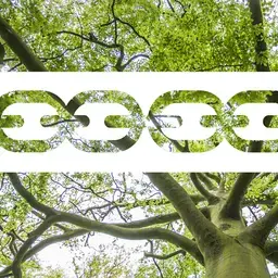Afbeelding-CEL_1200x628.jpg